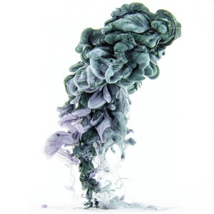 Contemporary Photography - Sprout - 11x17 Giclee Wall Art