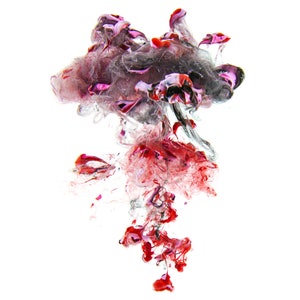 Contemporary Photography - Jellyfish - 11x17 Giclee Wall Art