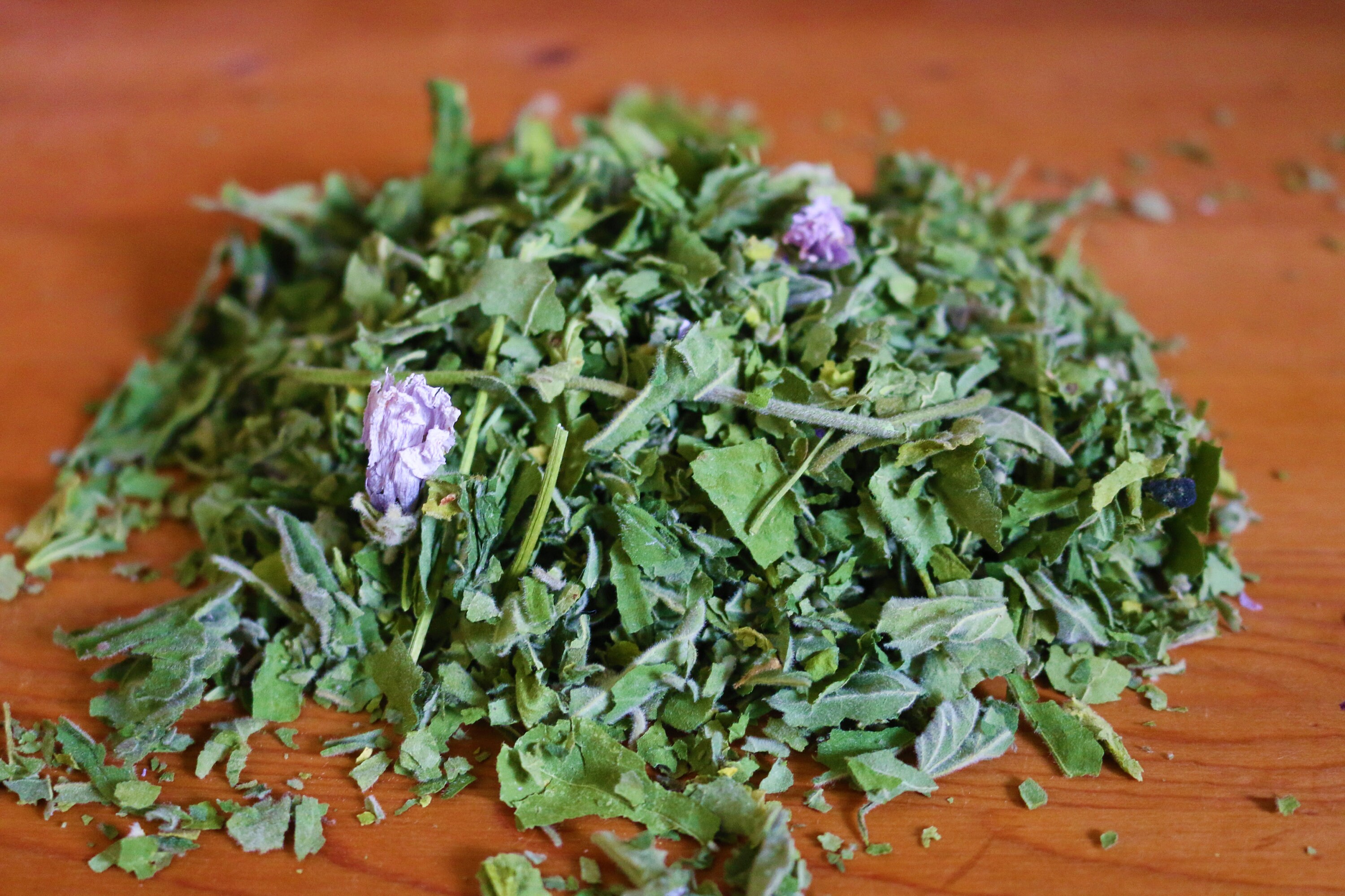 Marshmallow leaf and flower, dried, Althaea officinalis — Wayside
