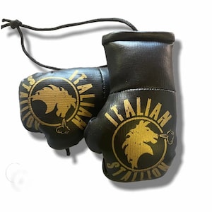 Italian Stallion Rocky Black and Gold Gloves