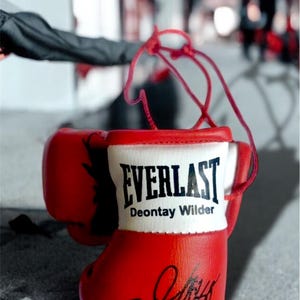 Deontay Wilder Autographed Mini Boxing Gloves