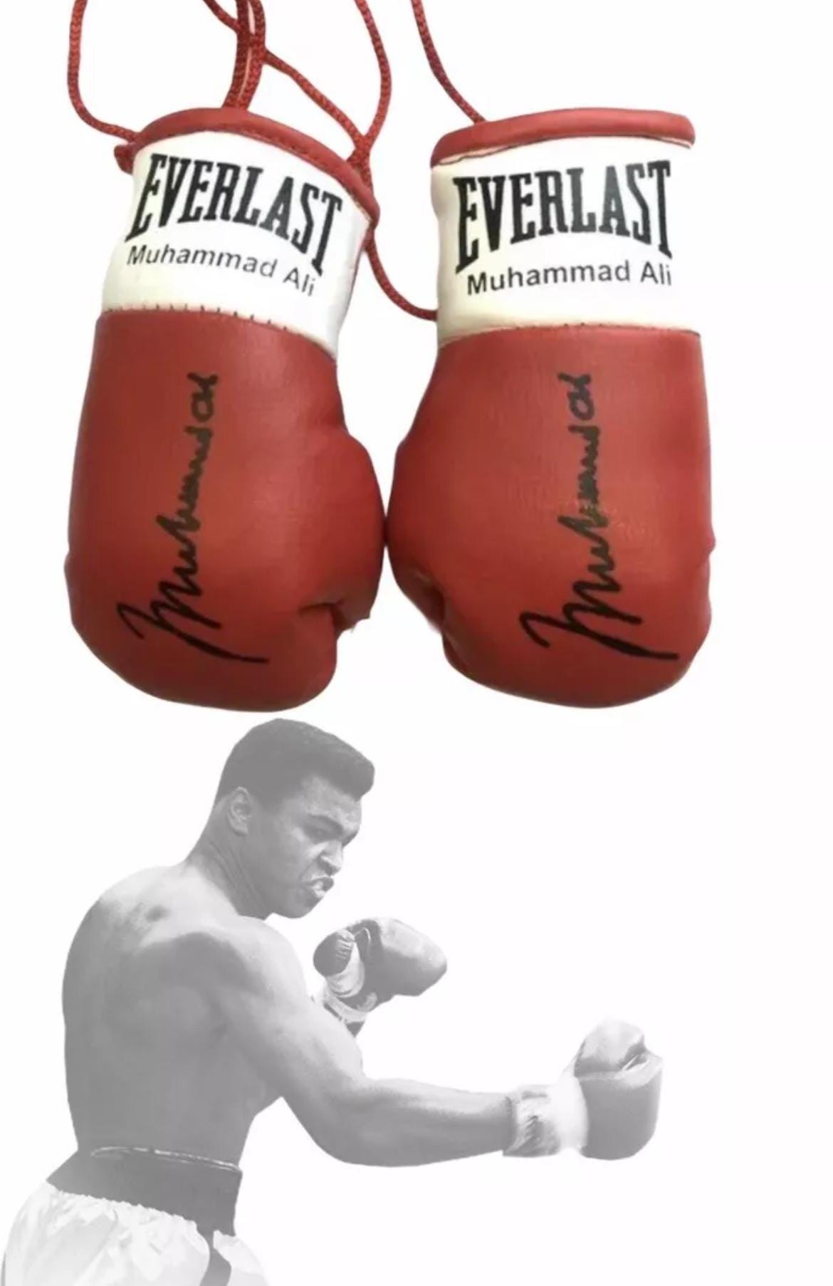 モハメド・アリ　サイン入りグローブ モハメド・アリ（最高のサイン入りミニボクシンググローブ（非常