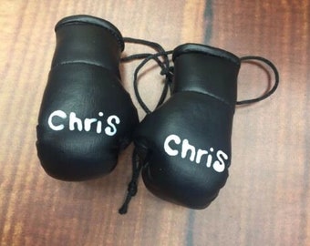 Pair Personalized Mini Boxing Gloves. Any Name Pink, Blue, White, Silver, Gold,black, red  Hand painted