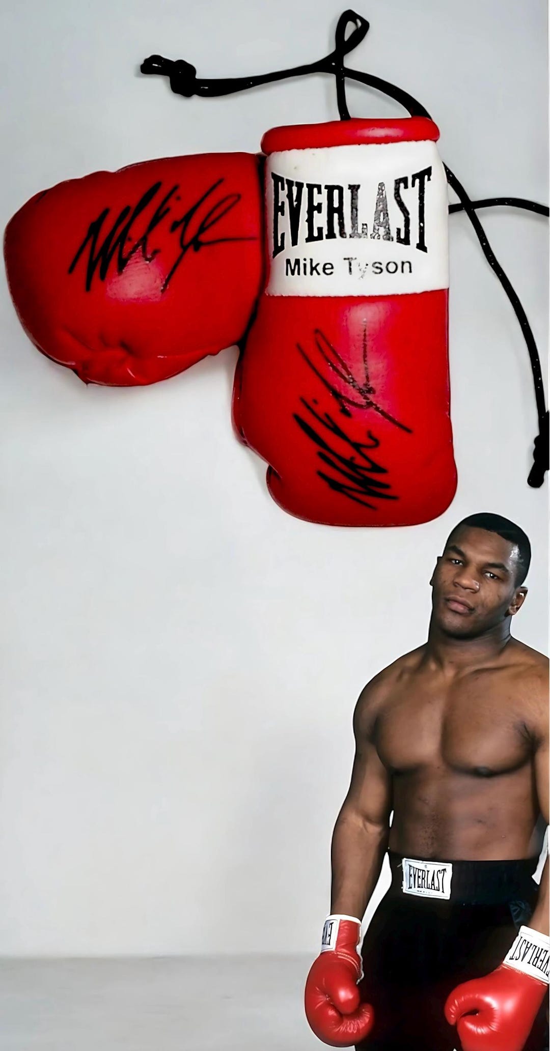 マイク・タイソン サイン入りボクシンググローブ 限定1点‼️