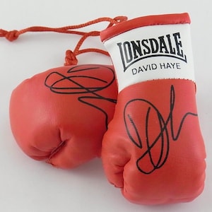 David Haye Autographed Mini Boxing Gloves