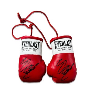 Joayuezo 1 Paire De Mini Gants De Boxe à Suspendre Pour