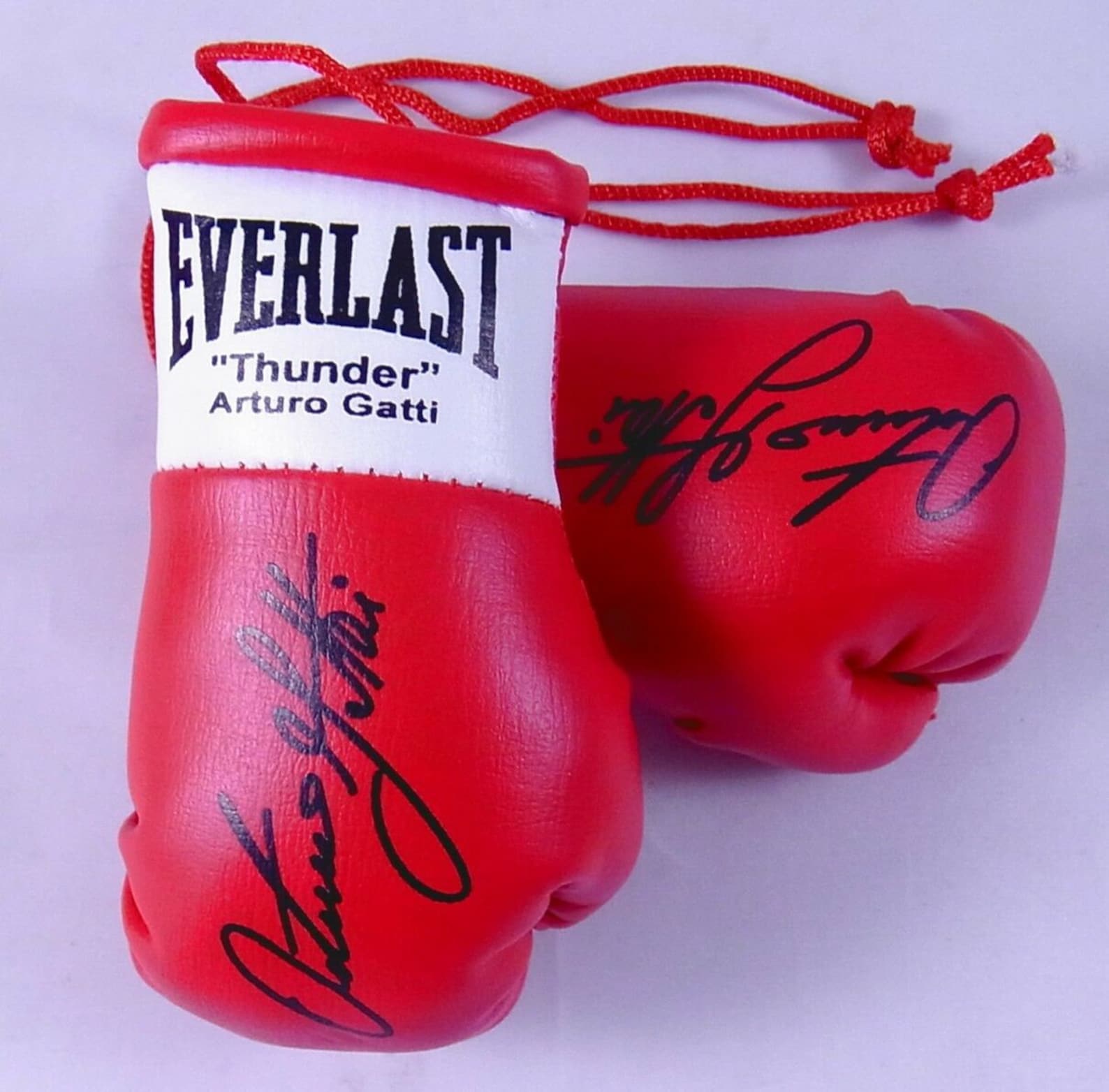 Arturo Gatti перчатки