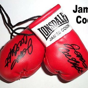 James Cook Autographed Mini Boxing Gloves