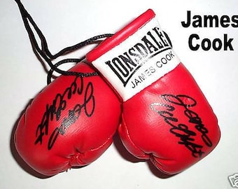 James Cook Autographed Mini Boxing Gloves