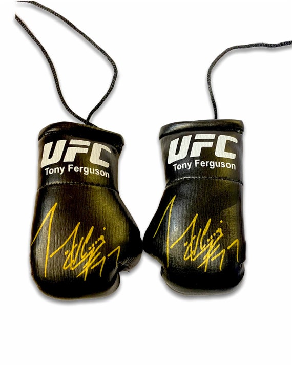 ショップ ミニグローブ 直筆サイン入り ピーターアーツ サイン入りミニ