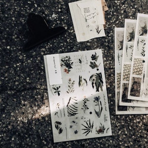 Stickers muraux somesortof.Vert fougère / Fleurs, lot d'autocollants transfert