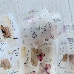 Shiwu Studio PET Tape - Collage 07 | 1 Roll 1000 cm