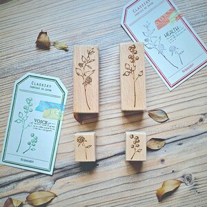 Timbro in gomma con frutti selvatici di Sonia Illustration