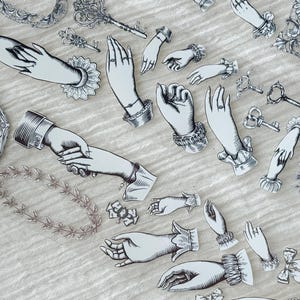 Loidesign Beautiful Hands PET Tape 1 Loop 90 cm