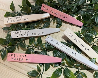 Marcadores de plantas personalizados: etiquetas divertidas de hierbas glaseadas (juego de 6)