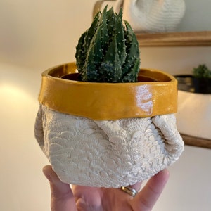 May include: A small succulent plant in a handmade ceramic pot. The pot has a cream-coloured, textured base and a mustard yellow rim. The plant has dark green, spiky leaves. The pot is held by a person.