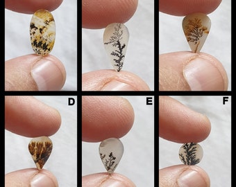 4243-45 Natural DENDRITIC AGATE CABOCHON Fossilised Agate Pear Cabochon For Wire Wrapping 19x32x6mm 28 Cts