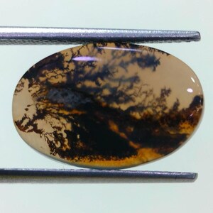 Piedra de diseño. Cabujón de ágata dendrítica de fantasía, piedra preciosa suelta, ágata dendrítica para hacer colgantes de joyería. Tamaño: 17 x 11 mm.