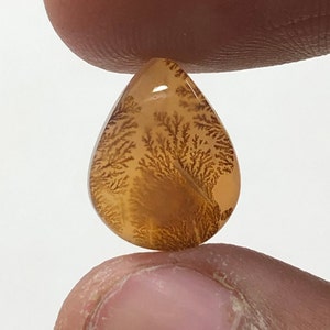 Erstaunlicher Design Achat !!! NATÜRLICHER Dendritischer Achat Oval Cabochon, loser Edelstein, Dendritischer Achat für die Herstellung von Schmuck Pendent.