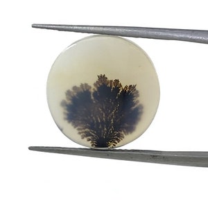 Natürlicher Achat !!! Dendritenachat Birne Cabochon, lose Edelstein, dendritischen Achat für die Herstellung von Schmuck Pendent