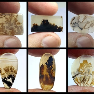 Natürlicher Dendritenachat, Dendritischer Cabochon, Achat-Lose Edelstein, Malerischer Dendritischer Achat, Heilende Eigenschaften, Farbe, Kraftstein