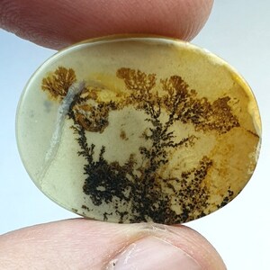 Riesige Größe !!! Dendritenachat Oval Cabochon, Lose Edelstein, Dendritenachat für die Herstellung von Schmuck Pendent Größe 26 x 20 MM
