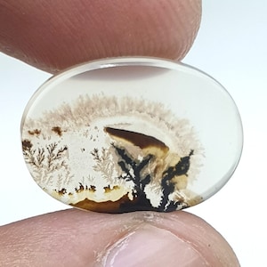 Wunderschöner Designer Dendriten Achat !!! NATÜRLICHER Dendritenachat Cabochon, 24 x 18 mm Kleiner Edelstein, Dendritenachat zur Herstellung von Schmuckanhängern.