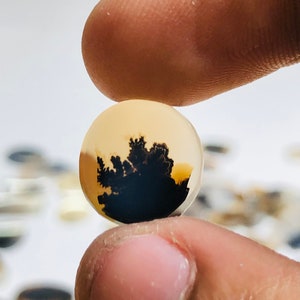 Natürlicher Achat !!! Dendritenachat Birne Cabochon, Lose Edelstein, Dendritenachat 13x13 Größe für die Herstellung von Schmuck Pendent