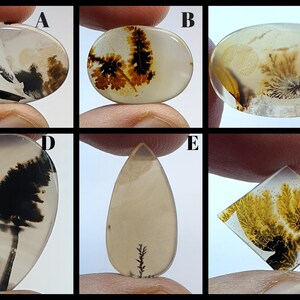 Natürliche dendritische Achat Cabochon, lose Edelstein, dendritische Achat für die Herstellung von Schmuck Pendent Größe.