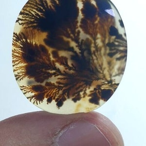 Wunderschöner Designer Dendriten Achat !!! NATÜRLICHER Dendritenachat Cabochon, loser Edelstein, 24 x 26 mm Dendritenachat zur Herstellung von Schmuckanhängern.
