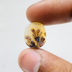 Riesige Größe !!! Dendritenachat-Birne Cabochon, lose Edelstein, dendritische Achat für die Herstellung von Schmuck Pendent Größe 15 x 12 mm