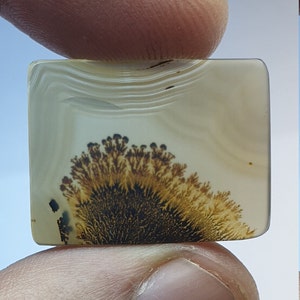 Riesige Größe !!! Dendritenachat Cabochon, Lose Edelstein, Dendritenachat für die Herstellung von Schmuck Pendent Größe 25 x 19 MM