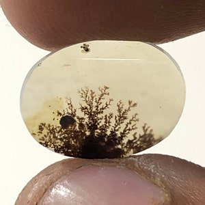 Erstaunlicher Design Achat !!! NATÜRLICHER Dendritischer Achat Oval Cabochon, loser Edelstein, Dendritischer Achat für die Herstellung von Schmuck Pendent.