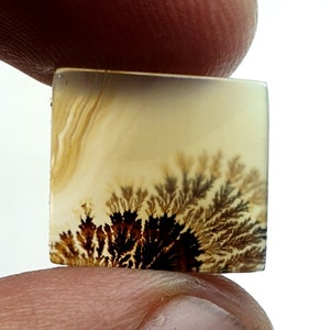 Schön Dendritenachat Quadrat Cabochon, Lose Edelstein, Dendritenachat für die Herstellung von Schmuck Pendent Größe 15 x 13 MM