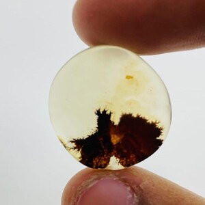 Riesige Größe !!! Dendritenachat Cabochon, Lose Edelstein, Dendritenachat für die Herstellung von Schmuck Pendent Größe 20 x 20 MM