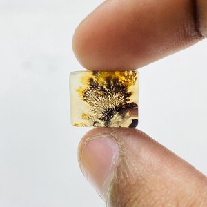 Riesige Größe !!! Dendritenachat-Birne Cabochon, lose Edelstein, dendritische Achat für die Herstellung von Schmuck Pendent Größe 13 x 12 mm