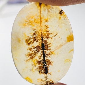 Wunderschöner Designer Dendriten Achat !!! NATÜRLICHER Dendritischer Achat Cabochon, loser Edelstein, 20 x 27 mm Dendritischer Achat zur Herstellung von Schmuckanhängern.