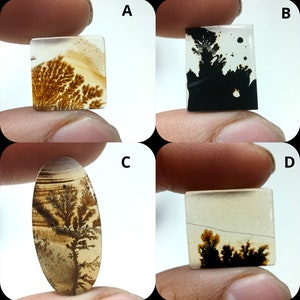 Natürlicher Dendritenachat, Dendritischer Cabochon, Achat-Lose Edelstein, Malerischer Dendritischer Achat, Heilende Eigenschaften, Farbe, Kraftstein