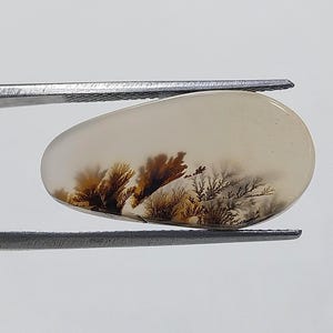 Designerstein !!! Dendritische Achat Phantasie Cabochon, lose Edelstein, dendritische Achat für die Herstellung von Schmuck Pendent Größe 24 x 12 MM