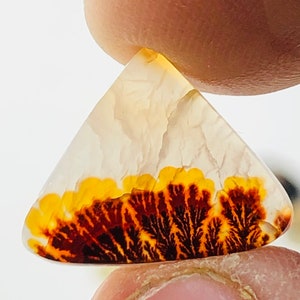 Wunderschöner Designer Dendriten Achat !!! NATÜRLICHER Dendritenachat Cabochon, loser Edelstein, 12x15 mm Dendritenachat für die Herstellung von Schmuck Pendent.