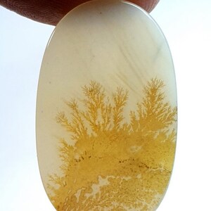 Natürlicher Achat !!! Dendritenachat Oval Cabochon, lose Edelstein, dendritischen Achat für die Herstellung von Schmuck Pendent