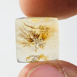 Wunderschöner Designer Dendriten Achat !!! NATÜRLICHER Dendritenachat Cabochon, loser Edelstein, 11x11 MM Dendritenachat für die Herstellung von Schmuck Pendent.