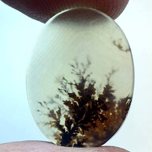 Riesige Größe !!! Dendritenachat Oval Cabochon, lose Edelstein, Dendritenachat für die Herstellung von Schmuck Pendent Größe 20X15 mm