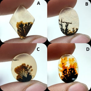 Natürlicher Dendritenachat, Dendritischer Cabochon, Achat-Lose Edelstein, Malerischer Dendritischer Achat, Heilende Eigenschaften, Farbe, Kraftstein