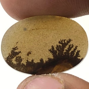 Riesige Größe !!! Dendritenachat Oval Cabochon, Lose Edelstein, Dendritenachat für die Herstellung von Schmuck Pendent Größe 16x12 MM