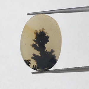 Natürlicher Achat !!! Dendritenachat Cabochon, lose Edelstein, dendritischen Achat für die Herstellung von Schmuck Pendent