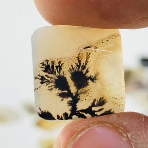Wunderschöner Designer Dendriten Achat !!! NATÜRLICHER Dendritenachat Cabochon, loser Edelstein, 13X13 MM Dendritenachat für die Herstellung von Schmuck Pendent.