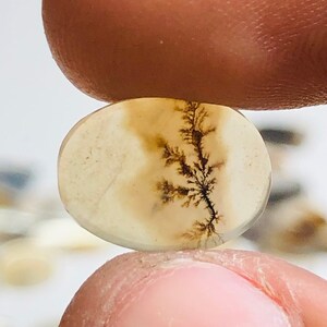 Natürlicher Achat !!! Dendritenachat Birne Cabochon, Lose Edelstein, Dendritenachat 9x12 Größe für die Herstellung von Schmuck Pendent