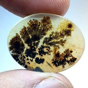 Traumhaft !!! Dendritische Achat Cabochon, Dendritische Lose Edelstein, Dendritische Achat, Achat Für die Herstellung von Schmuck Pendent