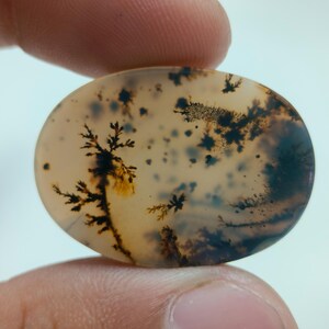 Designerstein !!! Dendritische Achat Phantasie Cabochon, lose Edelstein, dendritische Achat für die Herstellung von Schmuck Penent Größe 30x22 MM
